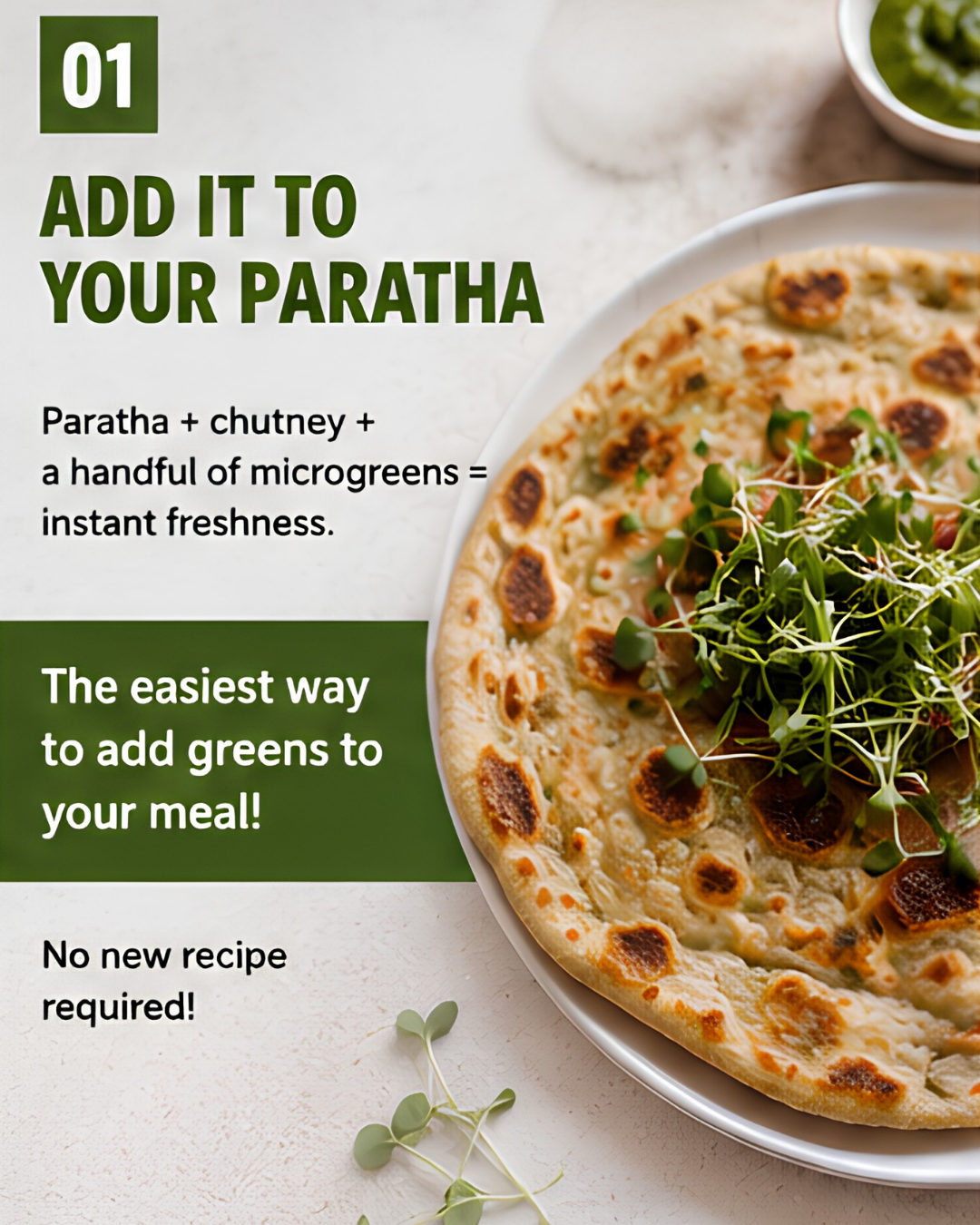 Stuffed Paratha